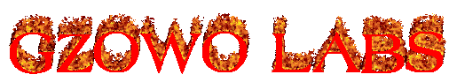 Gzowo Labs